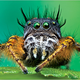 Illustration for article titled The year's best wildlife photos show nature at its cruelest — and most tender